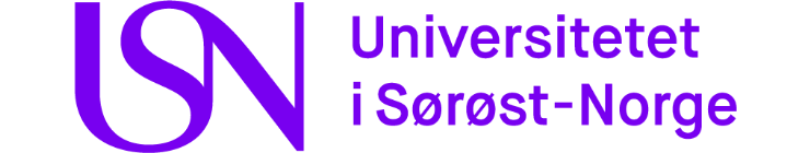 Universitetet i Sørøst-Norge søker dekan til Fakultet for teknologi, naturvitenskap og maritime fag