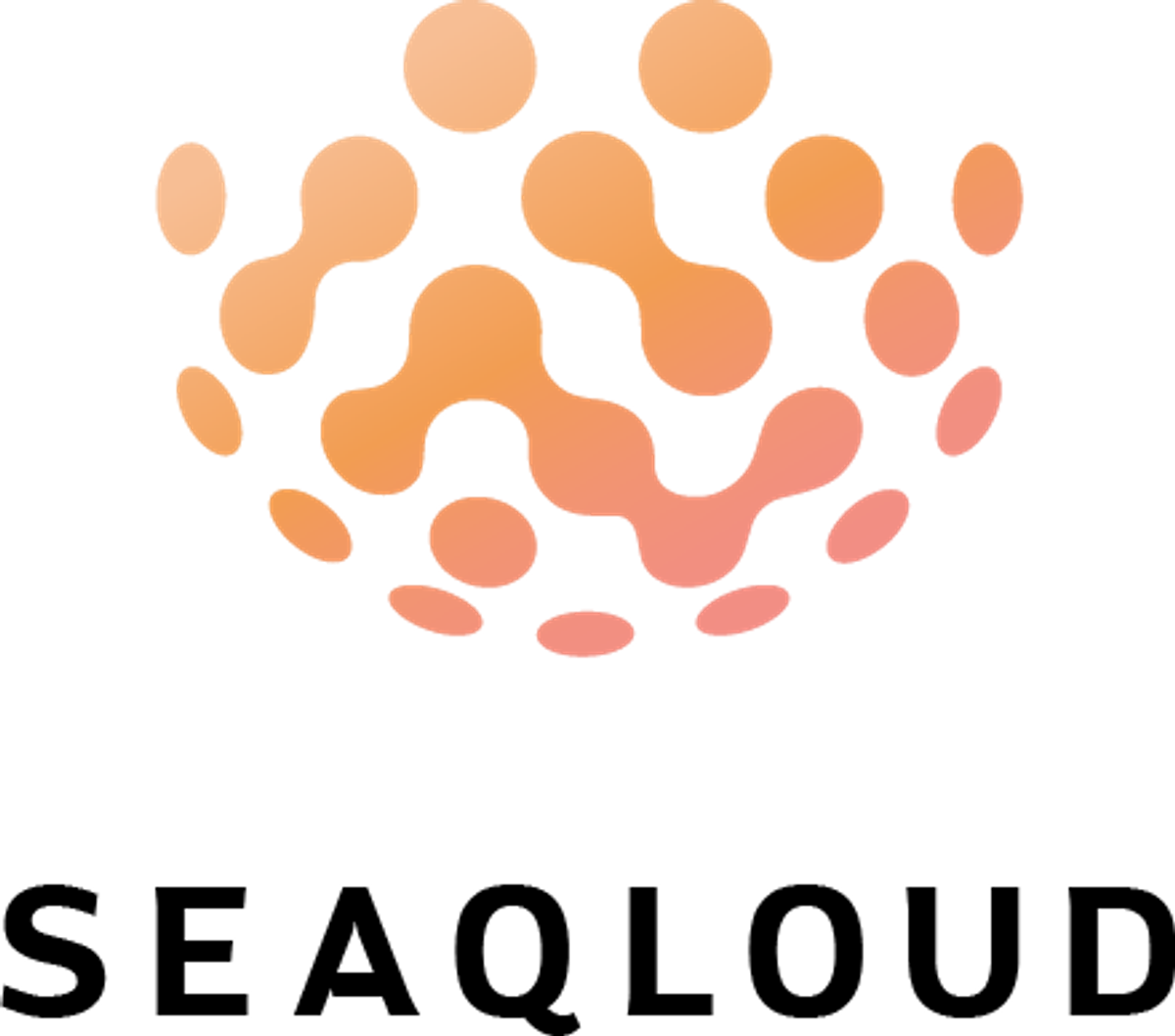Seaqloud
