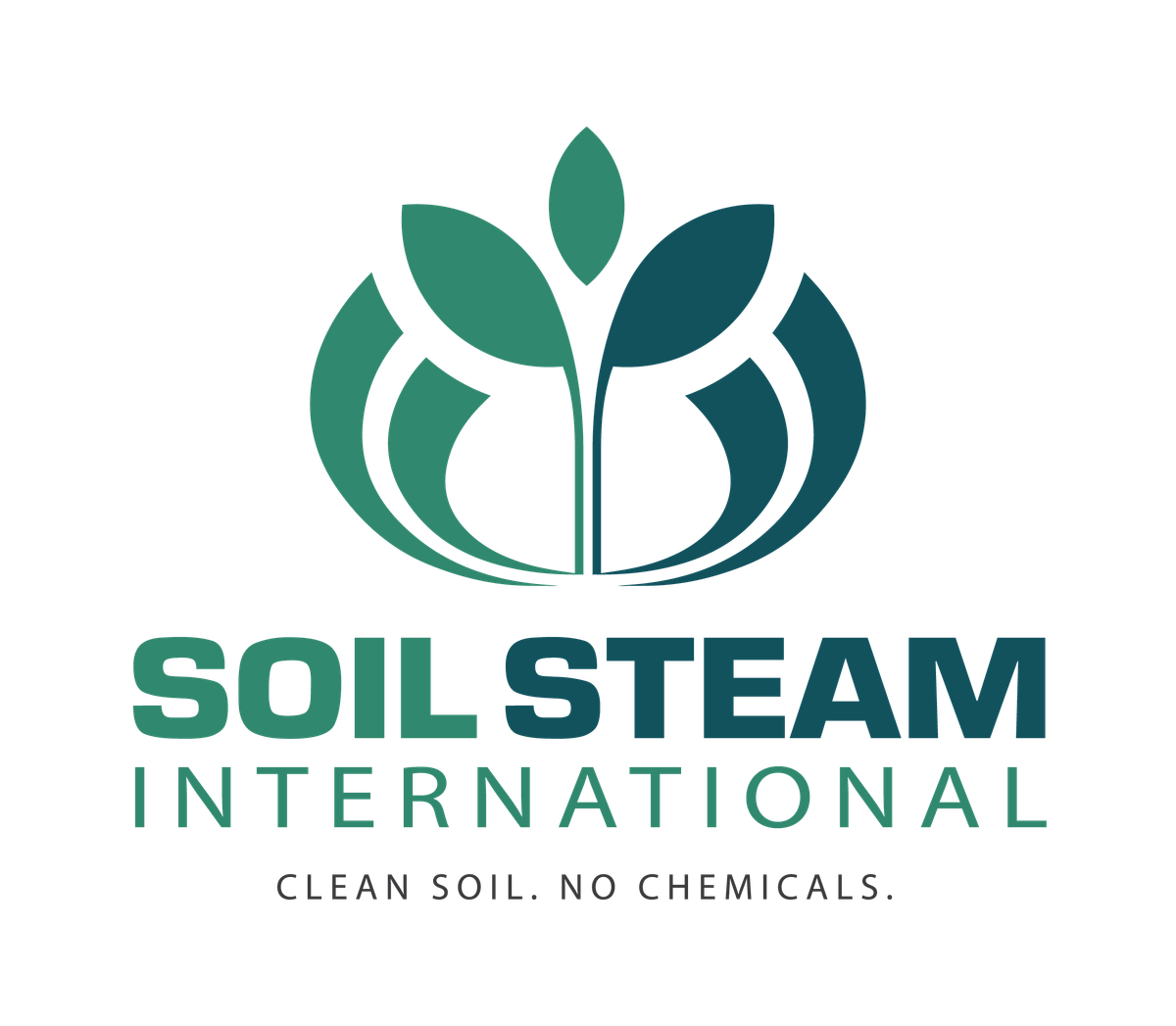 Soil Steam International AS