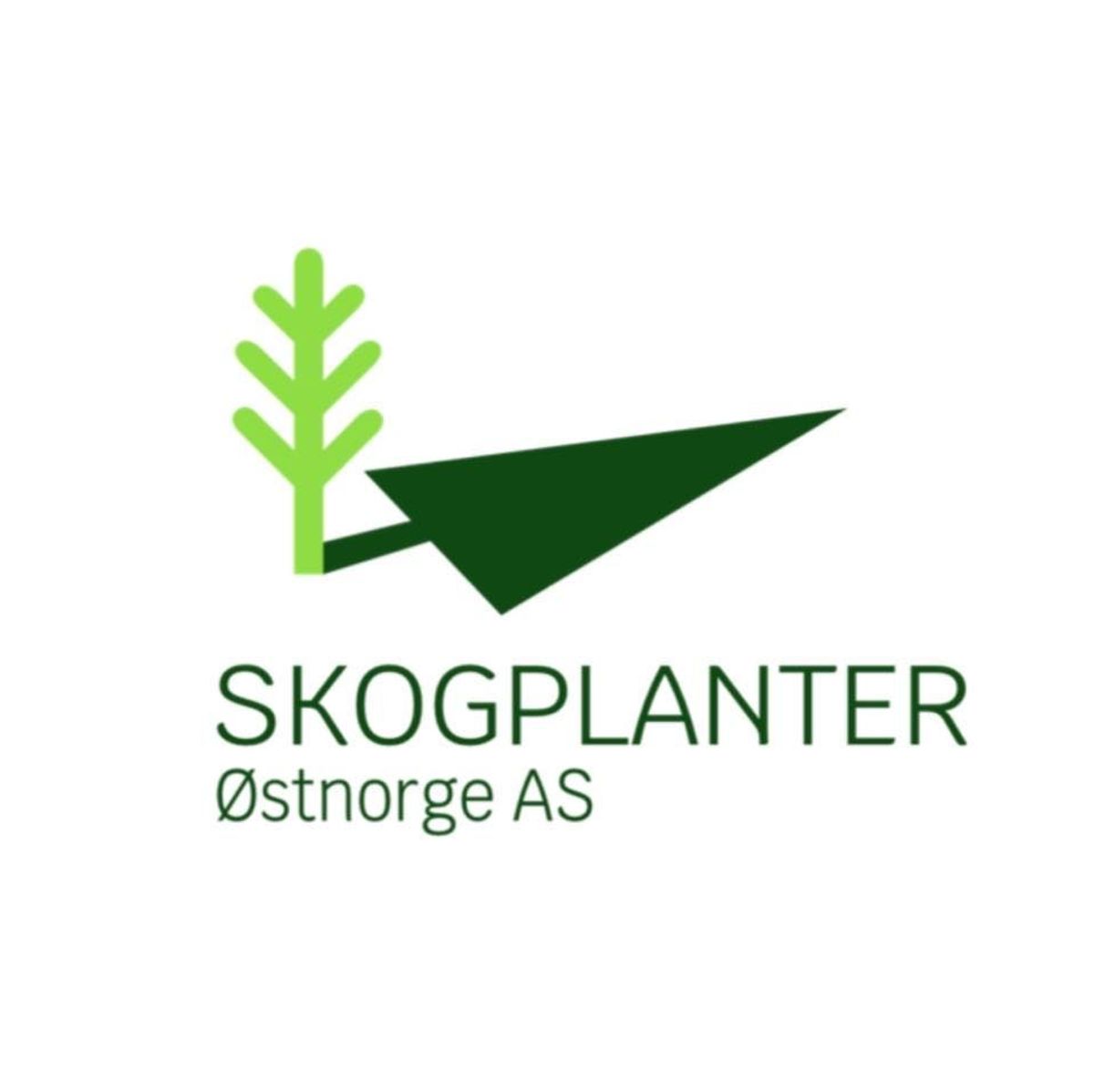 Skogplanter Østnorge AS