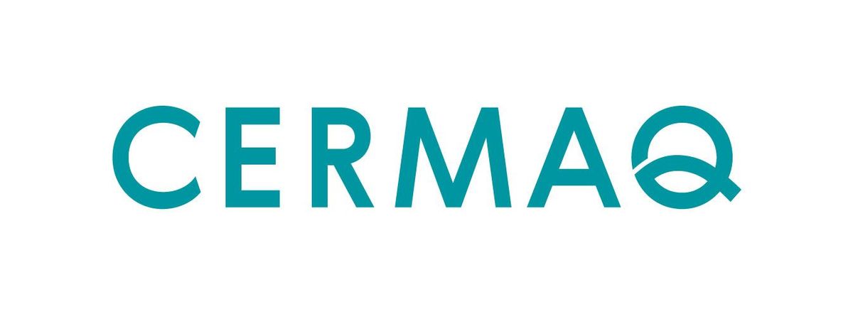 Global IT Security Manager